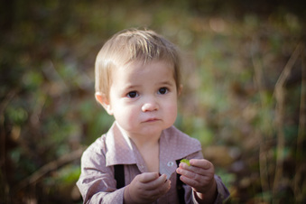 Enlarge photo 78