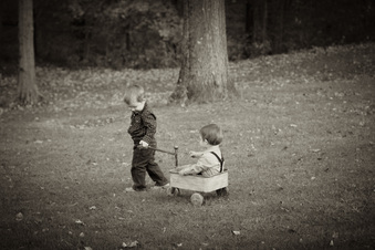 Enlarge photo 154