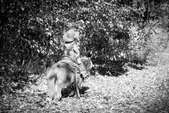 Enlarge photo 80