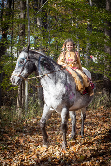 Enlarge photo 84