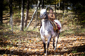 Enlarge photo 90
