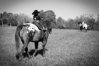 Enlarge photo 157