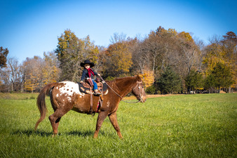 Enlarge photo 159