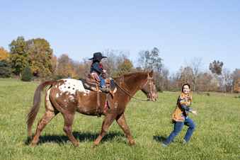 Enlarge photo 169