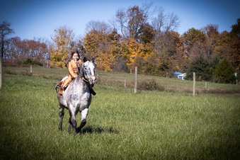 Enlarge photo 176