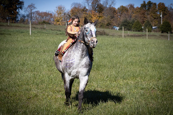 Enlarge photo 178