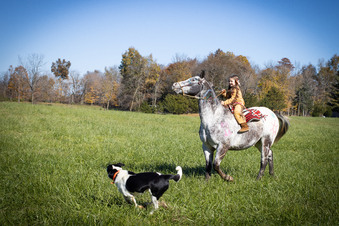 Enlarge photo 185