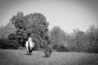 Enlarge photo 197