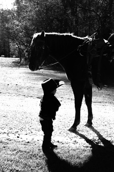 Enlarge photo 226