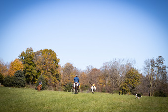 Enlarge photo 235