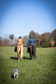 Enlarge photo 265