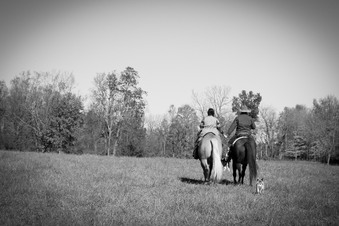 Enlarge photo 267