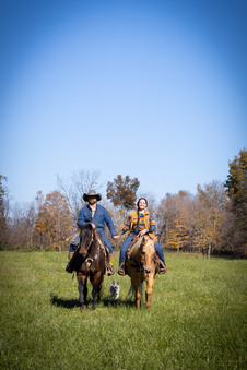 Enlarge photo 270