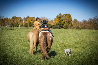 Enlarge photo 310