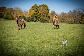 Enlarge photo 312