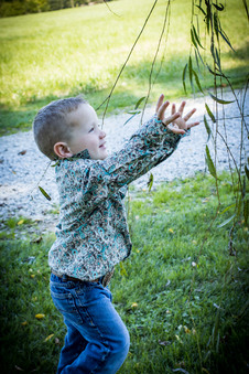 Enlarge photo 94