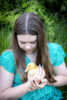 Enlarge photo 103