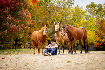 Enlarge photo 64