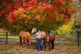 Enlarge photo 65