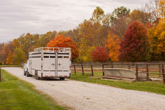 Enlarge photo 154