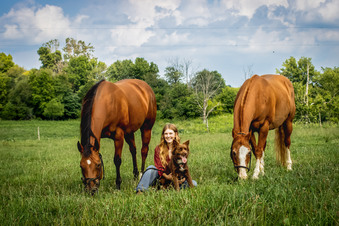 Enlarge photo 80