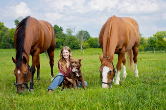 Enlarge photo 86