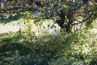 Enlarge photo 103