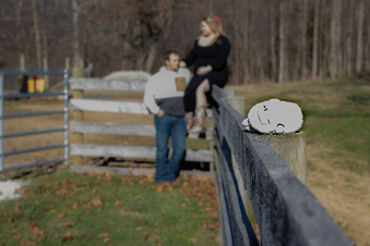 Enlarge photo 15