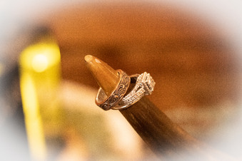 Enlarge photo 167