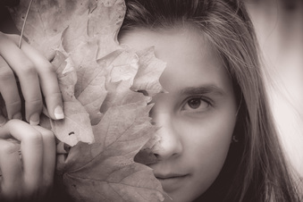 Enlarge photo 232