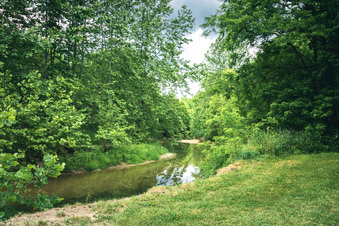 Enlarge photo 156