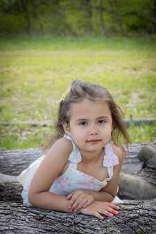 Enlarge photo 152