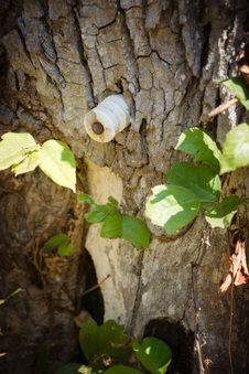 Enlarge photo 20