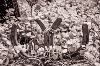 Enlarge photo 135