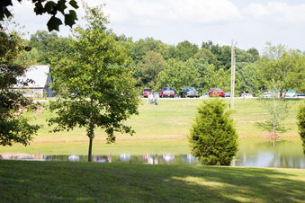 Enlarge photo 493