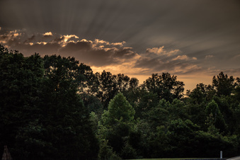 Enlarge photo 1045
