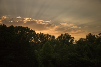 Enlarge photo 1046