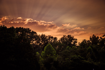 Enlarge photo 1047
