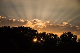 Enlarge photo 1048