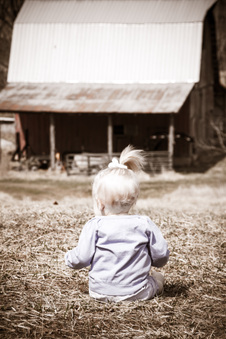 Enlarge photo 40