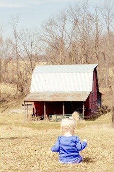 Enlarge photo 41