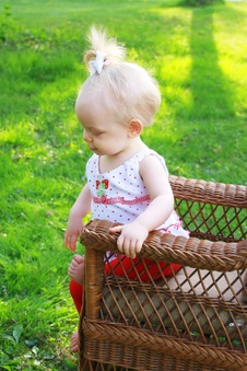 Enlarge photo 50