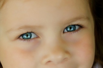 Enlarge photo 29