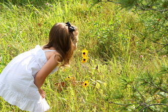 Enlarge photo 39