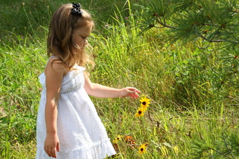 Enlarge photo 40
