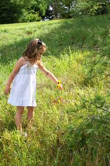 Enlarge photo 41