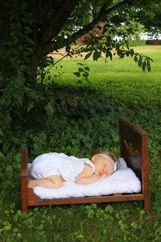 Enlarge photo 62