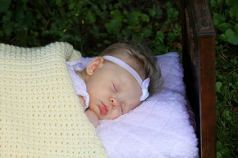 Enlarge photo 80