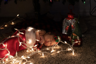 Enlarge photo 41