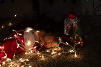 Enlarge photo 42